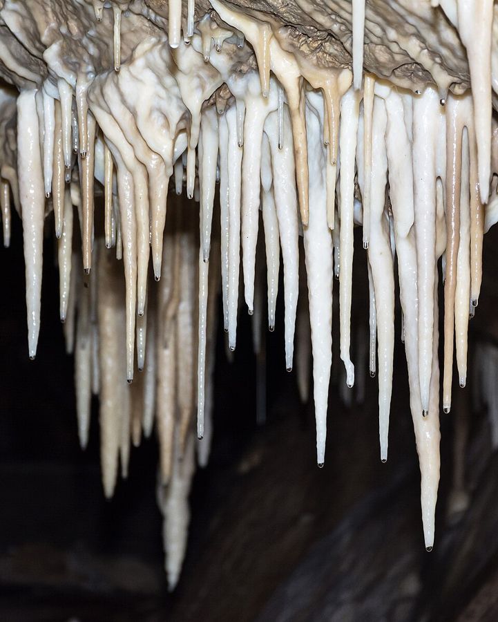 Bärenhöhle Kletno